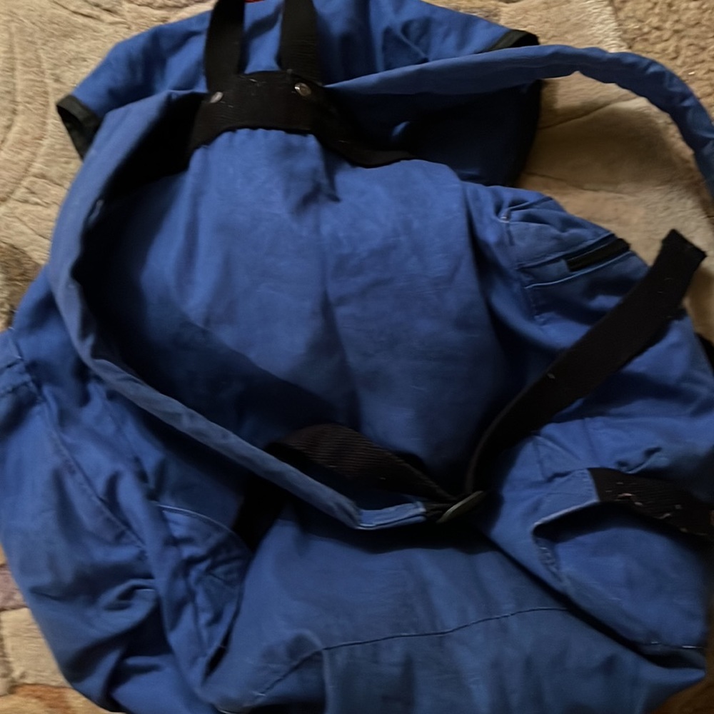 American Eagle Backpack - image 4